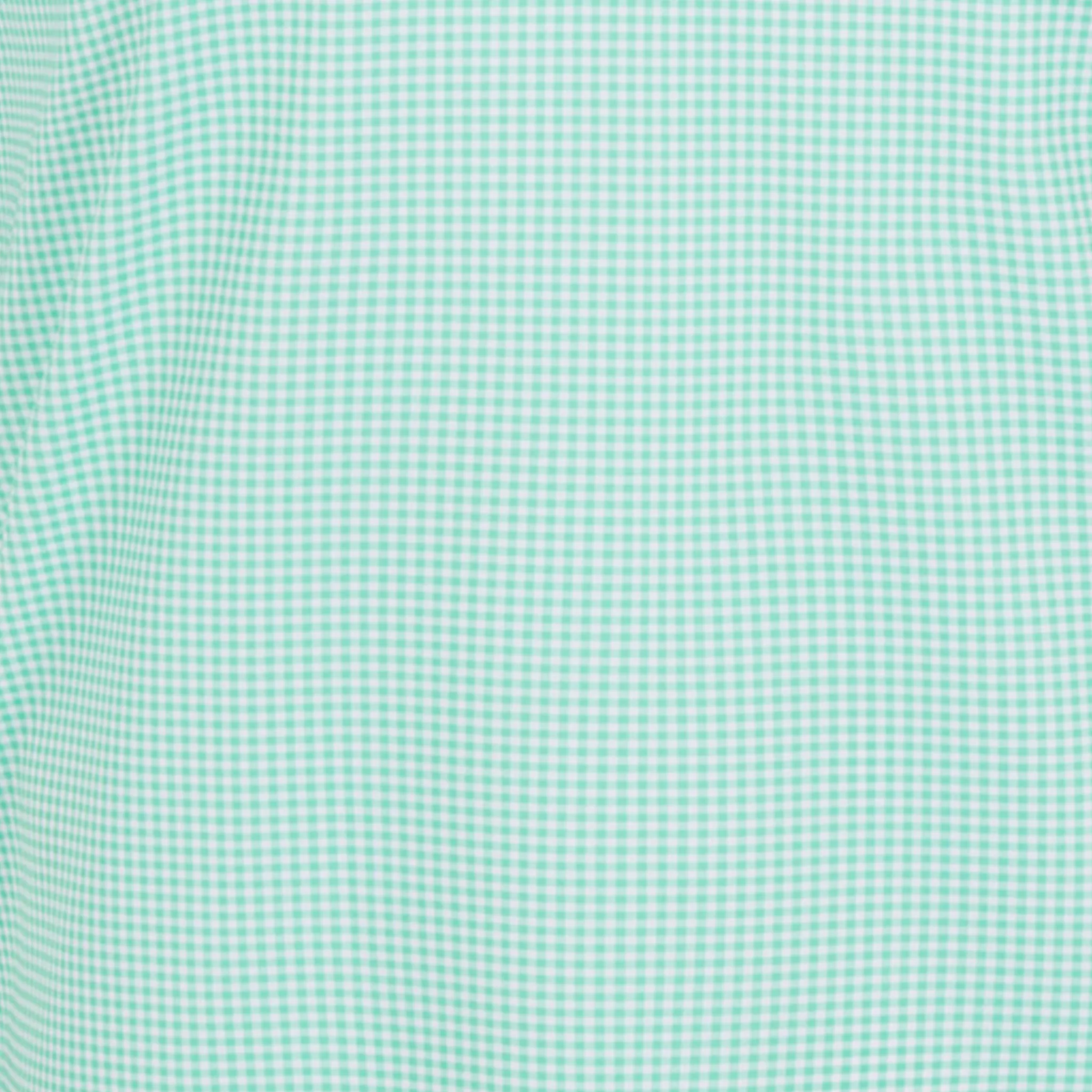 Featherweight Flex Polo Green Gingham - Image 2